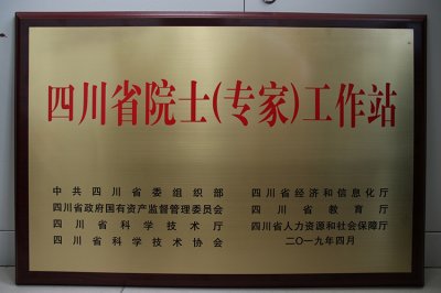 厲兵秣馬  筑“巢”引鳳——川威集團(tuán)榮獲“省級(jí)院士（專家）工作站”背后的