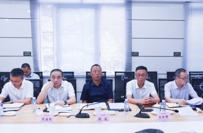 內(nèi)江市經(jīng)濟(jì)和信息化局到川威集團(tuán)開展項目對接工作(圖3)