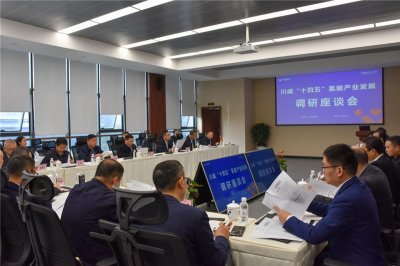市政協(xié)主席康俊一行到川威召開“十四五”氫能產(chǎn)業(yè)發(fā)展調(diào)研座談會(huì)
