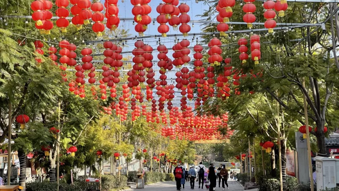 西昌市大石板鄉(xiāng)村振興項目再獲省級榮譽(圖8)