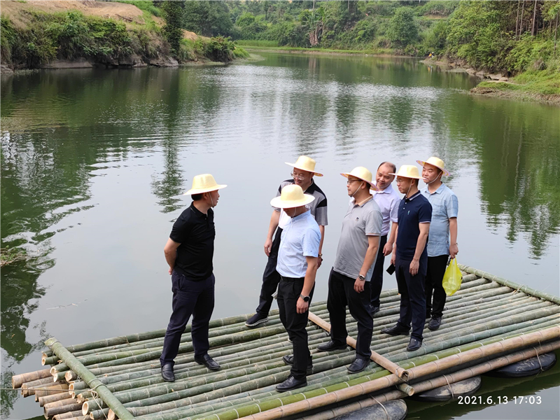 集團(tuán)公司王勁董事長視察穹窿植物園建設(shè)現(xiàn)場(chǎng)(圖2)